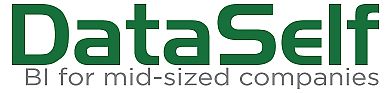 DataSelfLogo DataSelfLogo